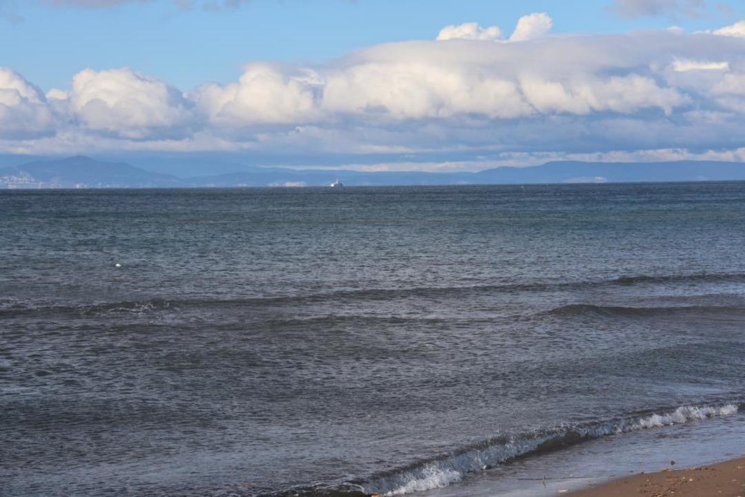 İzmir Dikili'deki tekne faciasında yeni detaylar!  O anlarda arkadaşlarına son kez seslenmiş