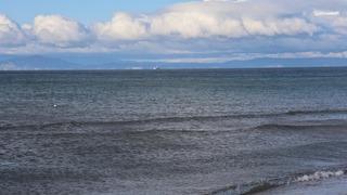 İzmir Dikili'deki tekne faciasında yeni detaylar!  O anlarda arkadaşlarına son kez seslenmiş