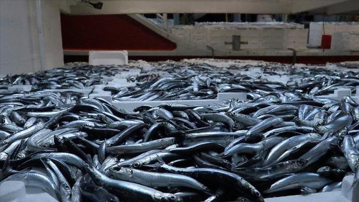 Bugün en yüksek fiyatını gördü, esnaf bir daha fiyatı düşmez dedi! Kilosu 150 lira ama stresi azaltıyor G1