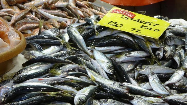 Bugün en yüksek fiyatını gördü, esnaf bir daha fiyatı düşmez dedi! Kilosu 150 lira ama stresi azaltıyor G3