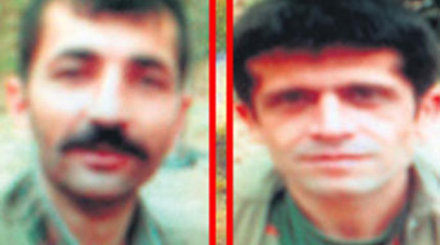 İşte İskenderun canileri