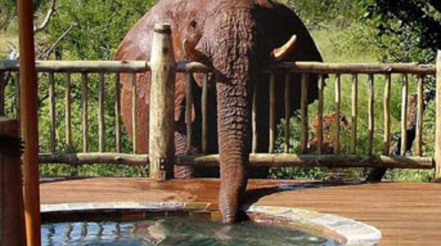 Gizem şans eseri &ccedil;&ouml;z&uuml;ld&uuml;!