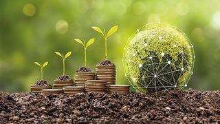 Avrupa Merkez Bankası yeşil dönüşüme odaklanıyor: Maliyetler ve yatırım ihtiyaçları konusunda çalışılacak