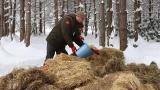 Düzce'de yaban hayvanları için doğaya yem bırakıldı