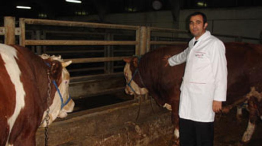 Kedi k&ouml;pek maması olan etleri bize satıyorlar