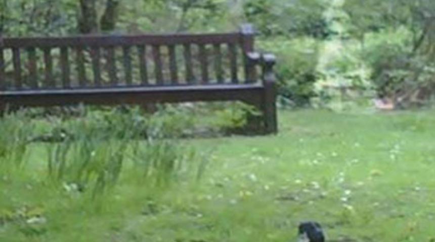 Bir hayalet gördüm sanki!