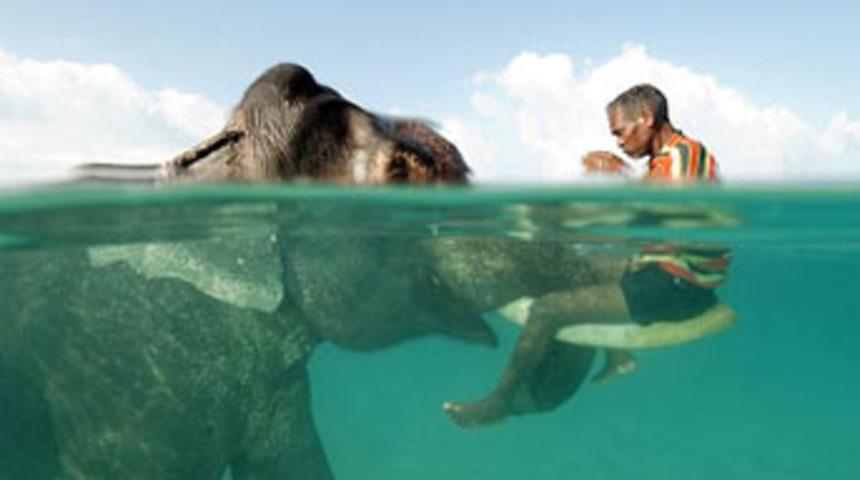 Deniz ulaşımında son nokta!