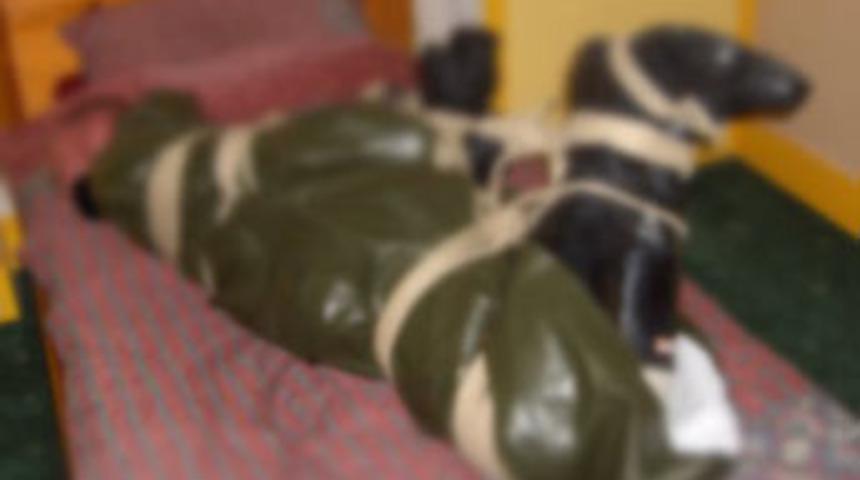 Aş&ccedil;ıyı domuz bağı ile &ouml;ld&uuml;rd&uuml;ler