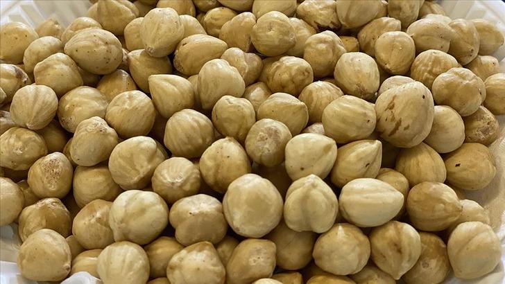 'Fındığı buzdolabına koyun, soğanı doğrayıp dışarıda bırakın' Etkisi inanılmaz oluyor! Kat kat fazla... 'Tüm hastalarıma söylüyorum' G3