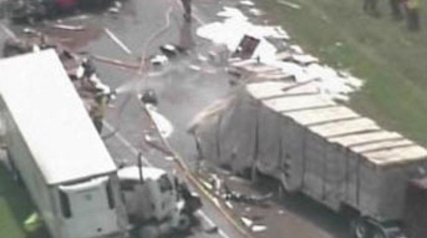 17 milyon arıyı kızdırdı...