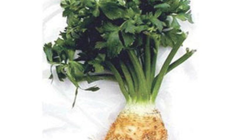 Kereviz Viagra etkisi yaratıyor