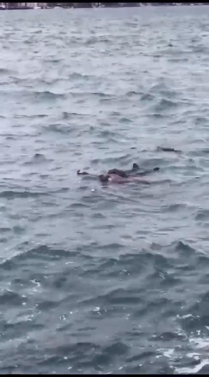 Halat uzattılar, tutmak istemedi! Herkesin gözü önünde korkunç olay... Kendini boğazın serin sularına bıraktı G1