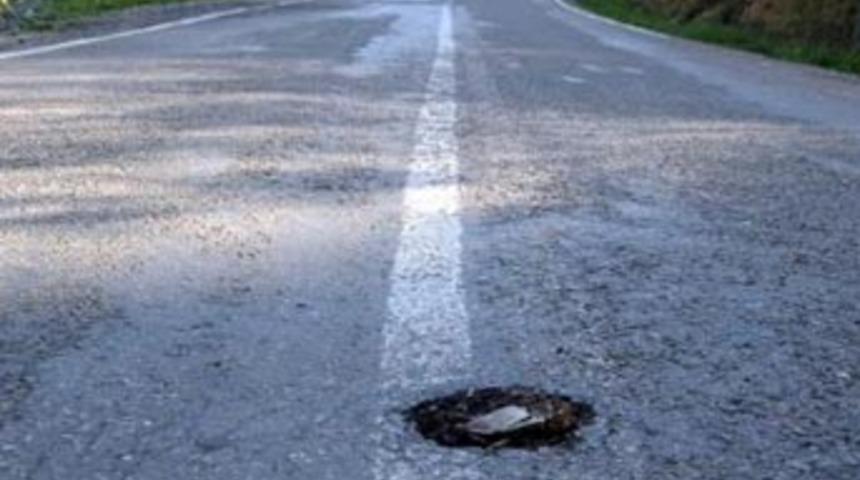 Mayının &uuml;zerinden y&uuml;zlerce ara&ccedil; ge&ccedil;ti