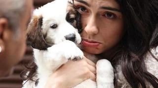 Alkışlanacak hareket! İnci Taneleri'nin minik emekçisi 'Coci' Yılmaz Erdoğan tarafından sahiplenilerek kadroya dahil edildi