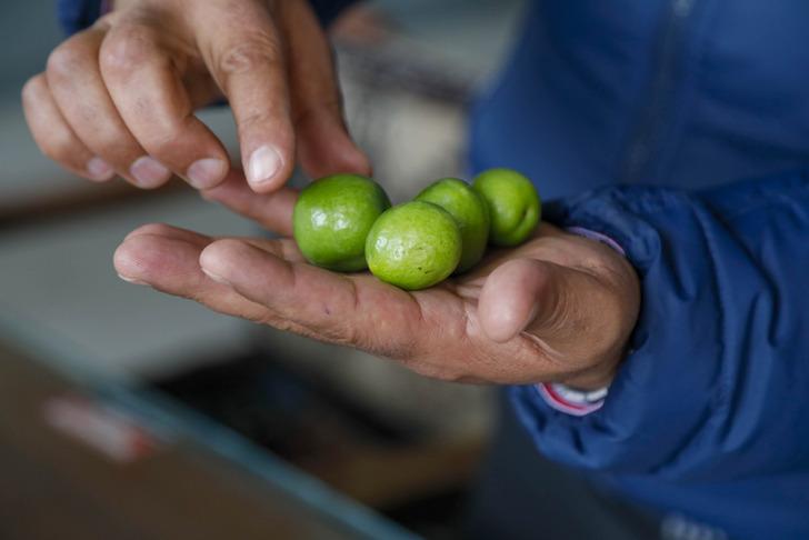 'Altın alsalar daha karlı bence' Tanesi 100 TL! Şehir dışından gelip 3 tane alıp dönüyorlar... Anne adayları için satışa çıktı G3