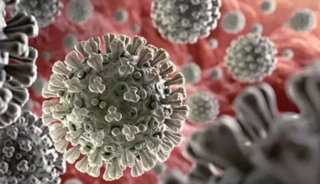 Nipah vir&uuml;s&uuml; uyarısı: "&Ouml;l&uuml;mc&uuml;l seyir g&ouml;sterebilir"