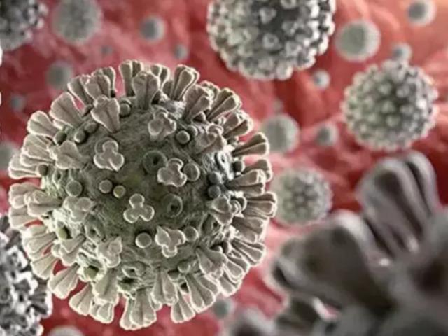 Nipah vir&uuml;s&uuml; uyarısı: "&Ouml;l&uuml;mc&uuml;l seyir g&ouml;sterebilir"