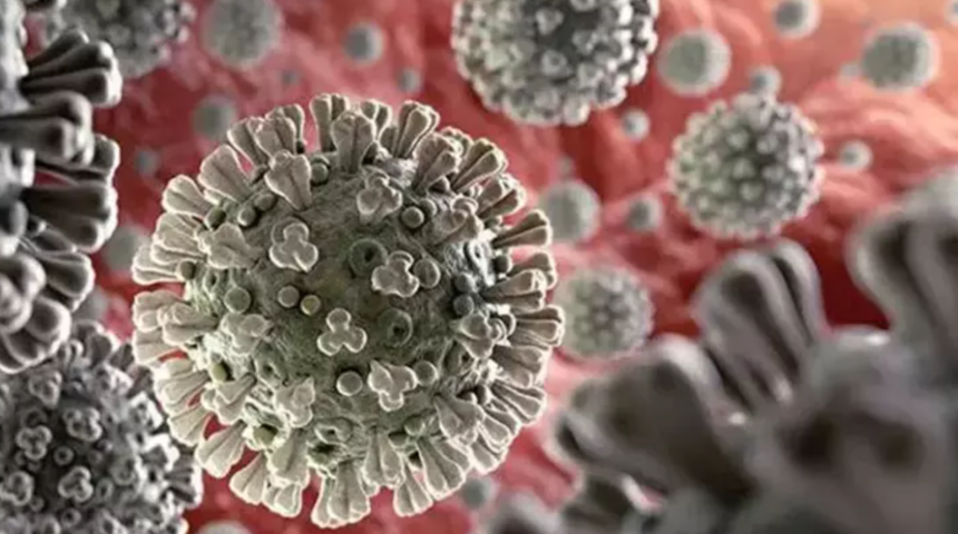 Nipah vir&uuml;s&uuml; i&ccedil;in uzmanından uyarı: "&Ouml;l&uuml;mc&uuml;l seyir g&ouml;sterebilir"