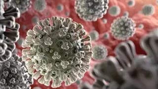 Nipah virüsü için uzmanından uyarı: Ölümcül seyir gösterebilir