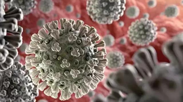 Nipah virüsü için uzmanından uyarı: Ölümcül seyir gösterebilir