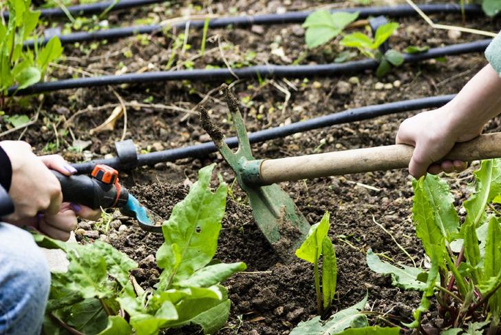 4. BAHÇEYLE UĞRAŞMAK