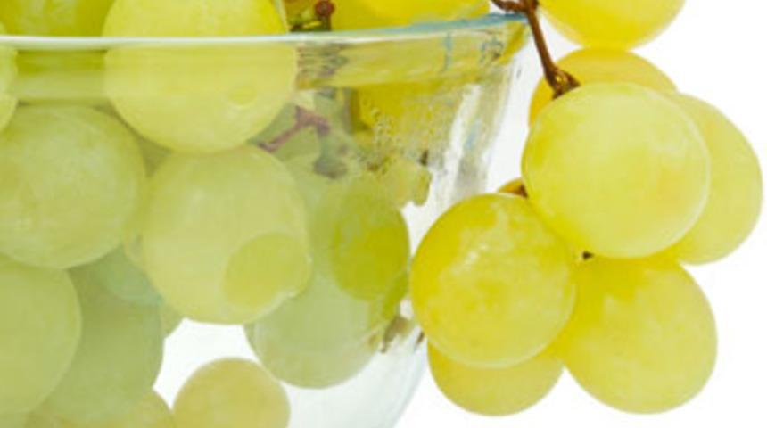 Başbakan'a Harvard &Uuml;niversitesi'nden darbe!