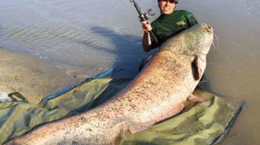 Daha b&uuml;y&uuml;ğ&uuml; yakalanmadı!