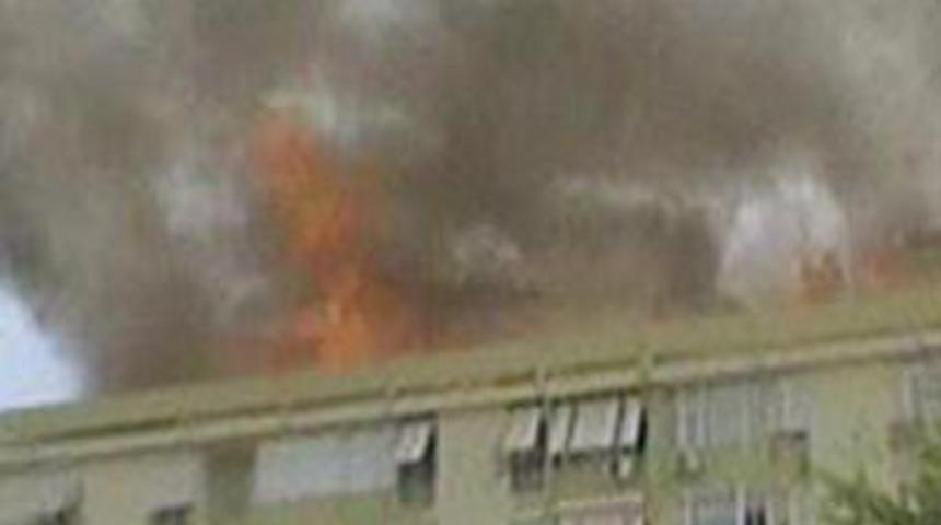 &Ccedil;atıda can pazarı