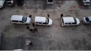 Interpol, kırmızı bülten ve difüzyon mesajı ile arıyordu! Bakan Yerlikaya duyurdu: 34 şüpheli yakalandı…