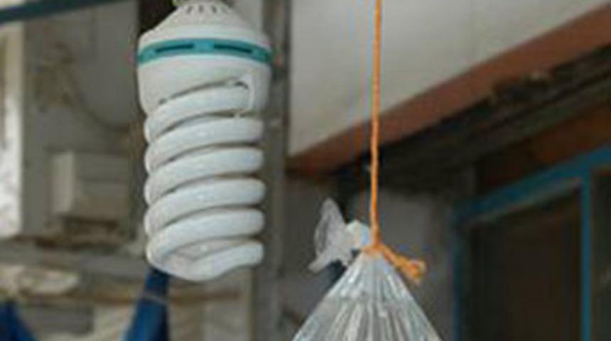 Sinekler Karadeniz usul&uuml; kovuldu