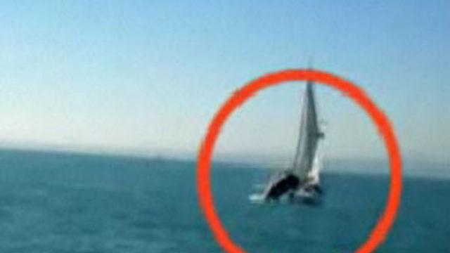 İşte balinanın saldırdığı an