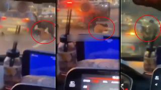 İstanbul'da trafiğin ortasında akılalmaz anlar! Bir anda kapıyı açıp yolda yuvarlandı, görenler telefona sarıldı: Tepki çeken iddia...