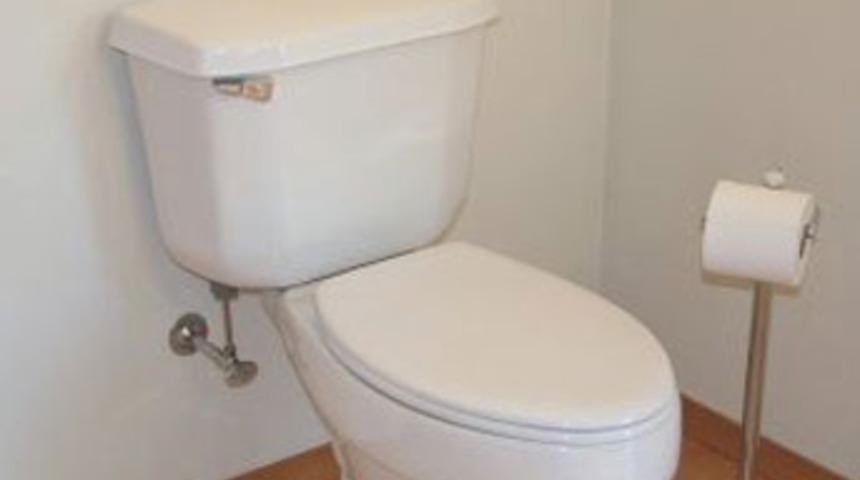 Bu tuvalet tam 1 milyon dolar!