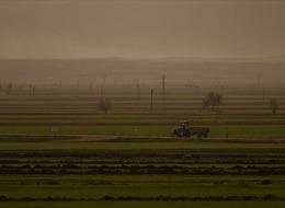 Deprem bölgesindeki üreticilere 14 milyar 150 milyon lira tarımsal destek