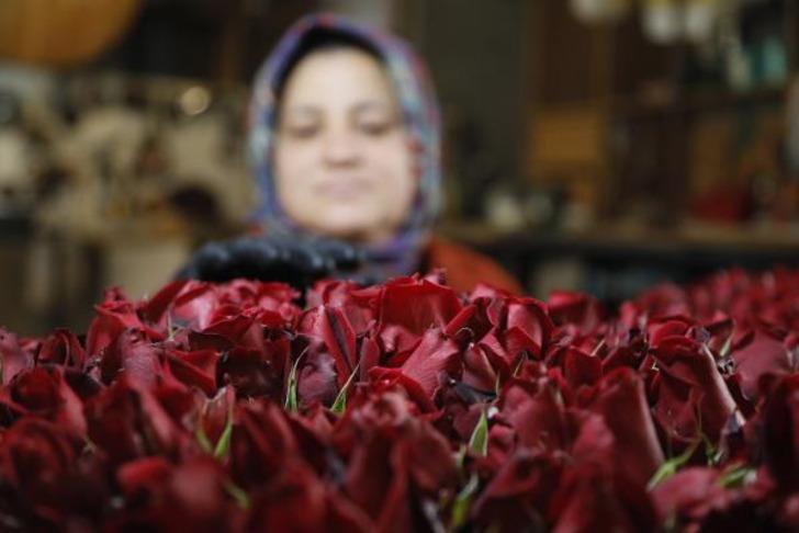 Sevgililer Günü öncesi zam mesaisi: Serada 20 lira olan kırmızı gül çiçekçide 5 katına satılıyor G5
