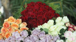 Sevgililer Günü öncesi zam mesaisi: Serada 20 lira olan kırmızı gül çiçekçide 5 katına satılıyor