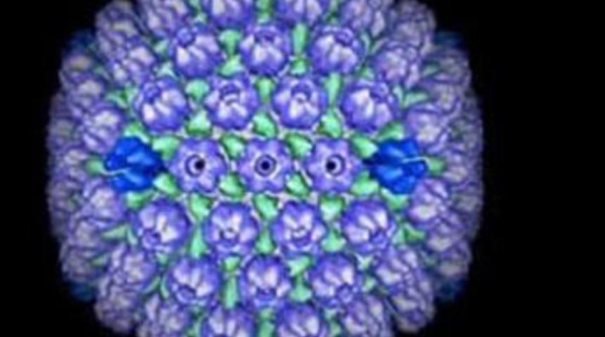 NDM-1 ilk kurbanını aldı