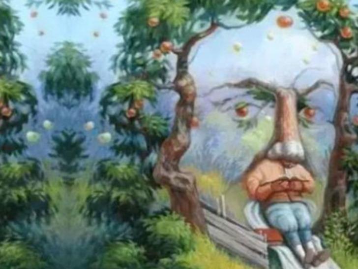 Optik illüzyon: Resimde gördüğünüz ilk şey karakter özelliklerinizi söylüyor