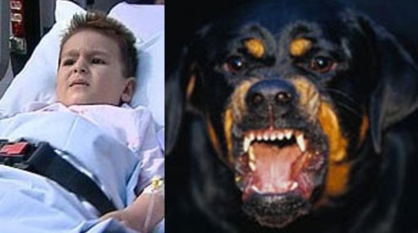 Erhan'ı bebek bezi kurtardı!