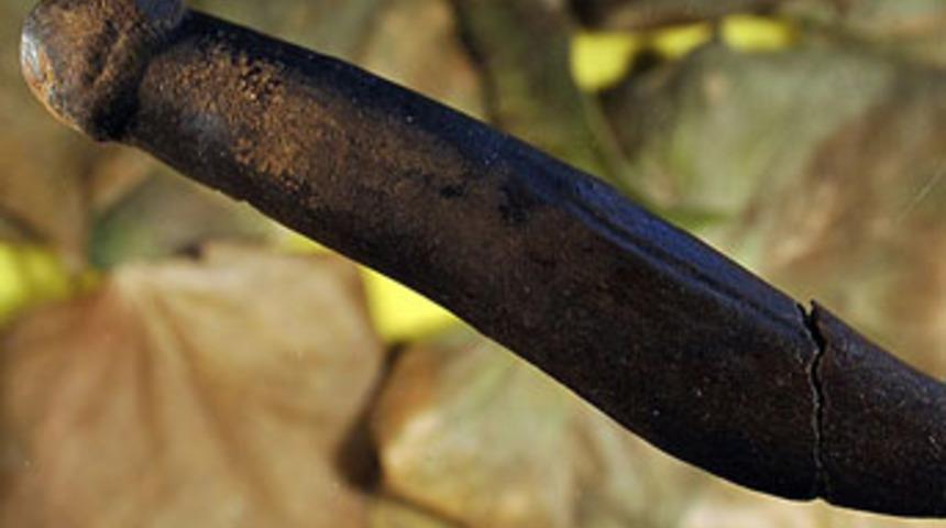 D&uuml;nyanın en eski seks oyuncağı