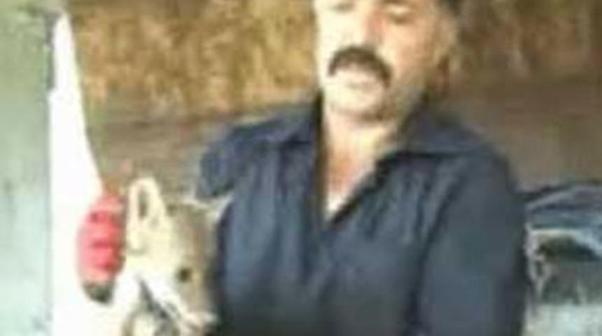 Tilkinin yavrusunu ka&ccedil;ıran adam