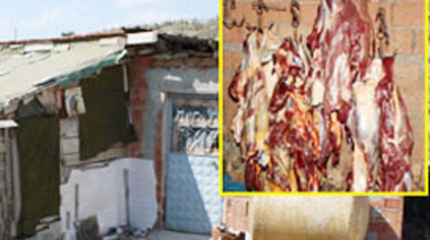 At keserken yakalanıp 'yiyiciyiz' dediler