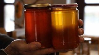 Soğuk hava ve virüs onları da etkiledi! 'Çok büyük oranda kayıp var'