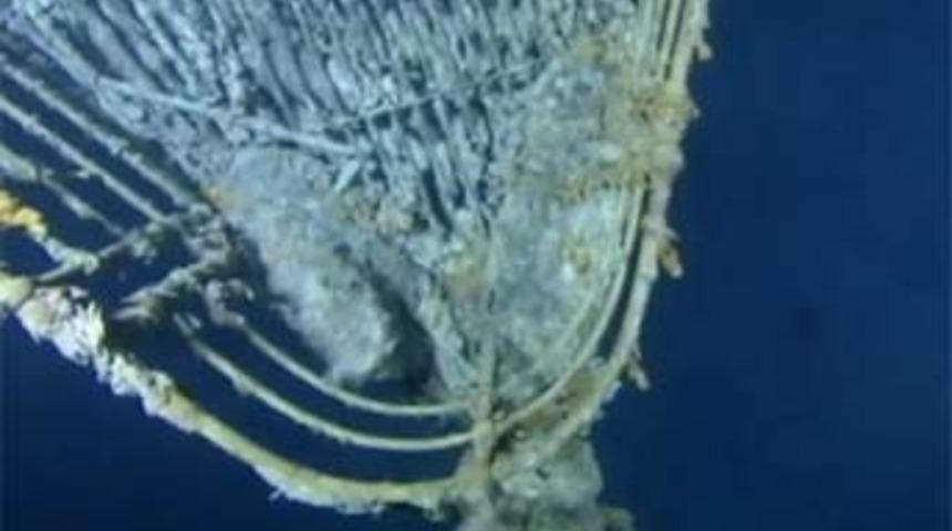 Titanic'in hi&ccedil; yayınlanmamış g&ouml;r&uuml;nt&uuml;leri