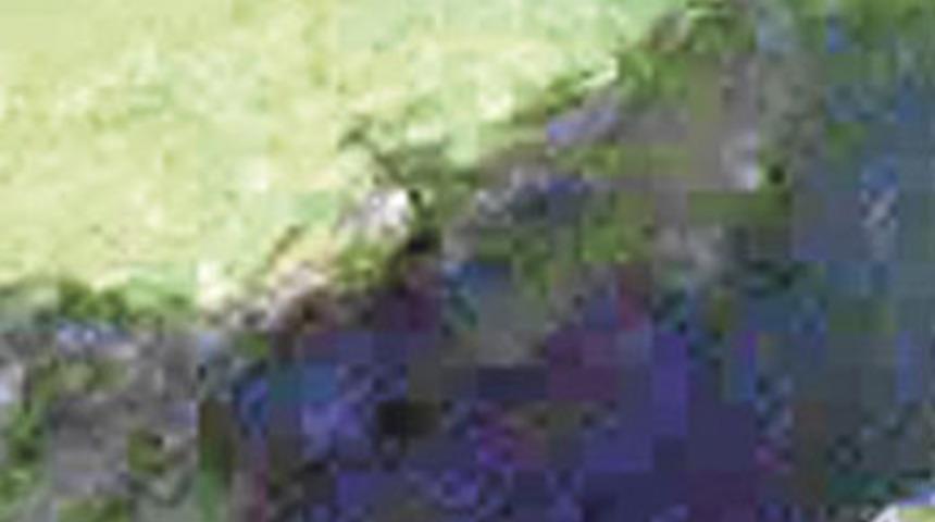 Su altındaki &uuml;rperten tablo