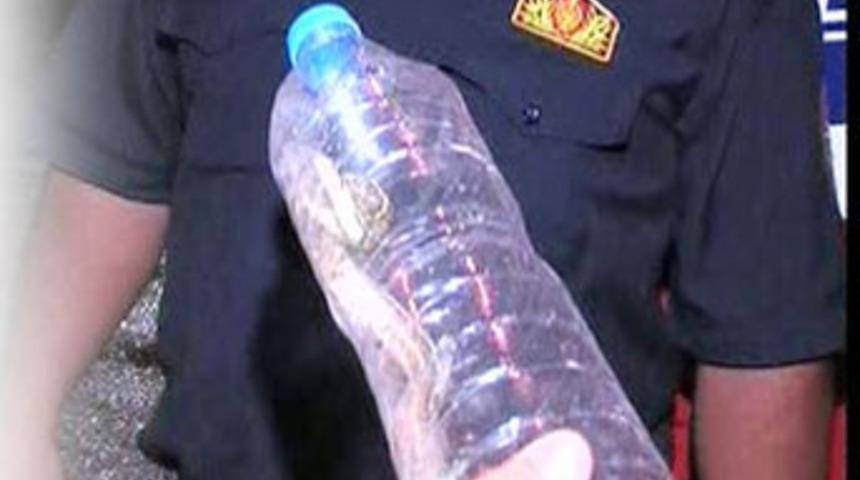 Eve giren yılan panik yarattı