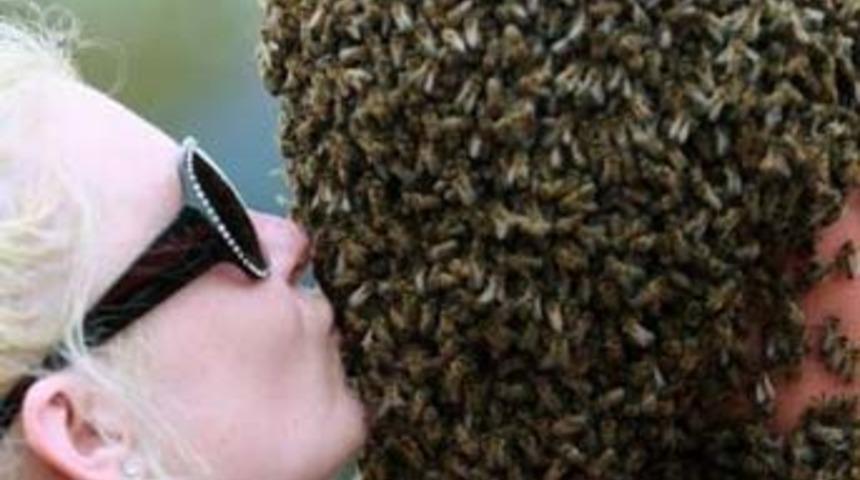 Kanada'da 'Arı Sakalı' yarışması