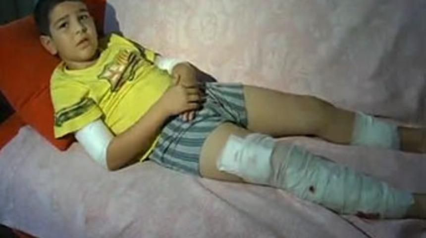 Eğitimli k&ouml;pek &ccedil;ocuğu par&ccedil;aladı&hellip;