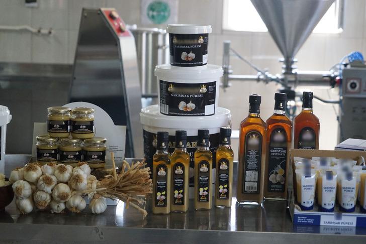 "SARIMSAKTAN ELDE ETTİĞİMİZ PÜREYİ, SOFRALARIMIZDA MAYONEZ VE KETÇAP GİBİ TÜKETMEYE BAŞLAYACAĞIZ"