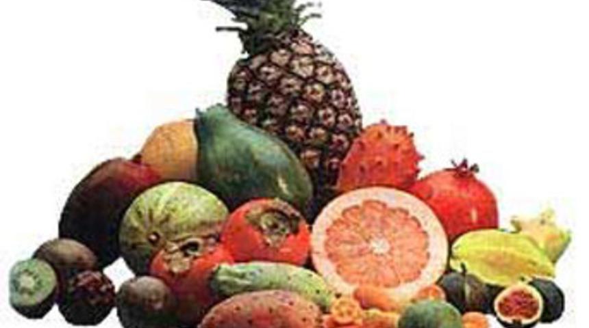 B vitamini Alzheimer'i geciktiriyor